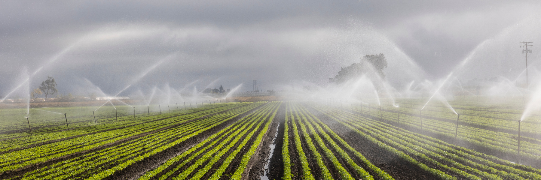 Maintenance & Winterization